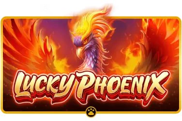 Filipino players enjoying bingo rooms on phbingo apk platform